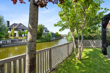 Aalscholver 4 secondary image