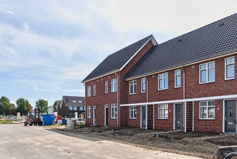 Paardenstaart 1