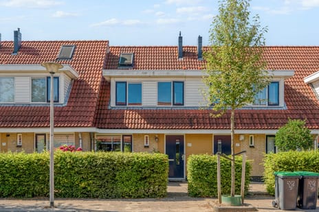 undefined main image