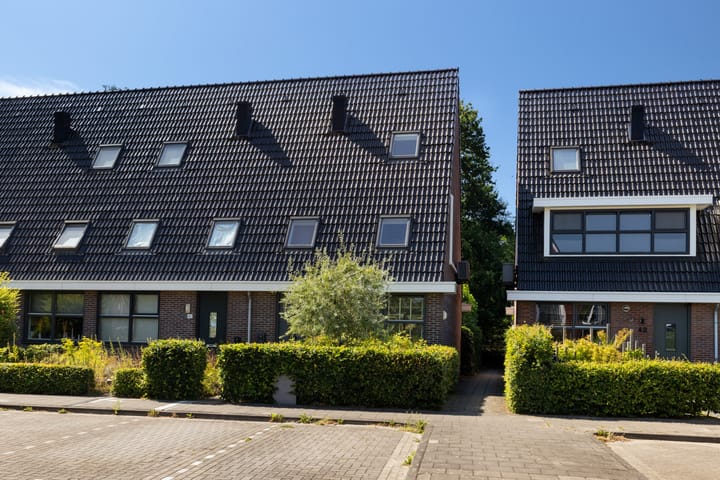 Samuel de Marezhof 47 main image