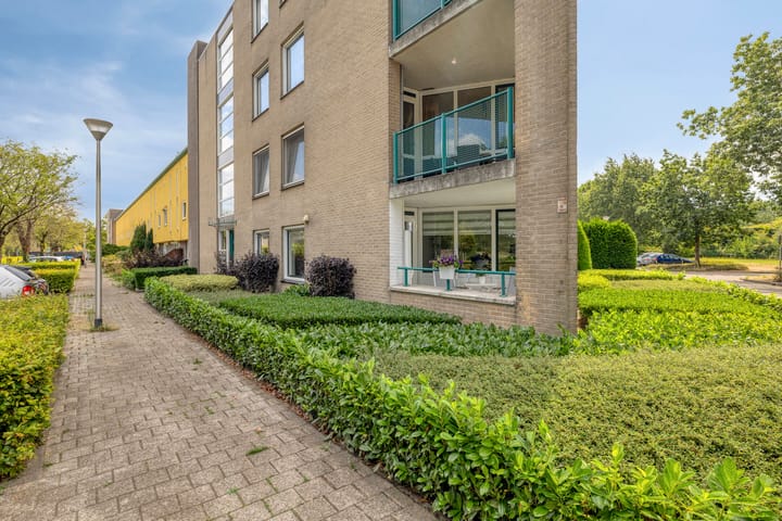 Hordenloop 2 main image