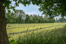 Afbeelding van Heetveld 1-R40 - Derde foto