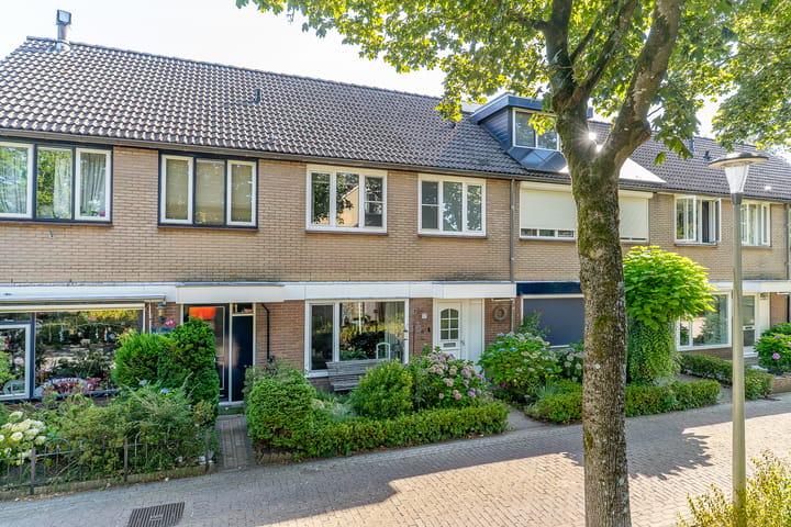 Kuntzestraat 17 main image
