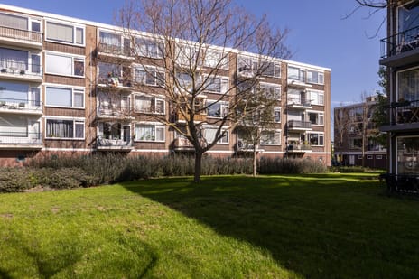 Johannes Poststraat 53