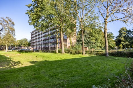 Afbeelding van Maria in Campislaan 225 - Derde foto