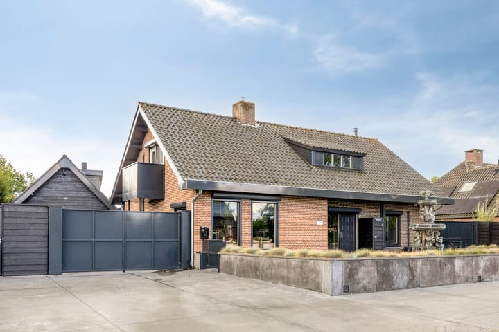 Singel 38 main image