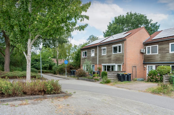 Huismus 5 main image