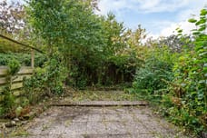 Afbeelding van Rosmarijn 50 - Derde foto