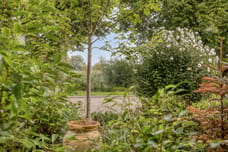 Afbeelding van Magnolialaan 42 - Derde foto