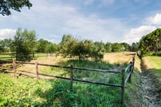 Afbeelding van Oude Hoevenweg 151 - Derde foto