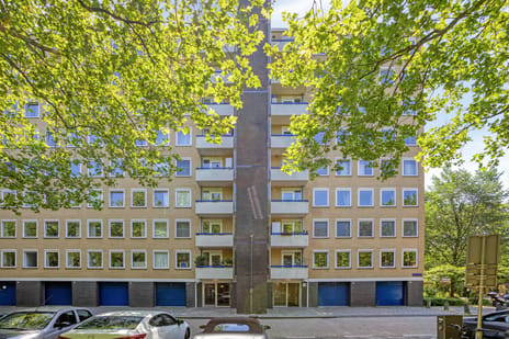 undefined main image