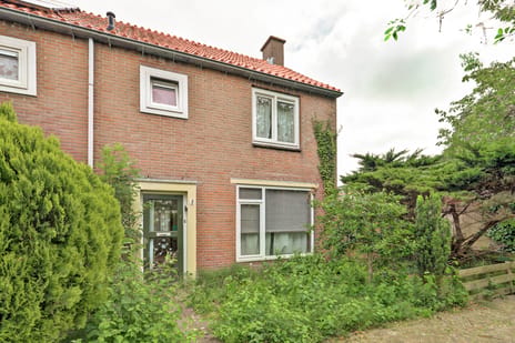 undefined main image