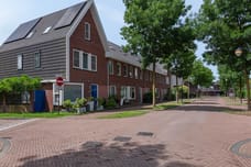 Afbeelding van Lient 133 - Tweede foto