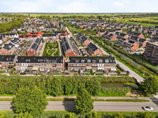 Afbeelding van Penningkruid 111 - Tweede foto