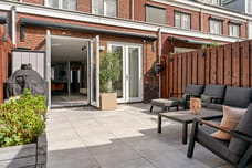 Afbeelding van Penningkruid 111 - Derde foto