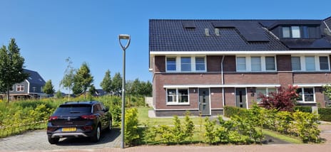 Sleutelbloem 88
