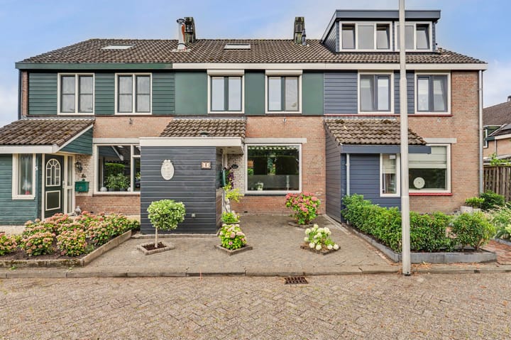 Dotterbloemstraat 3 main image