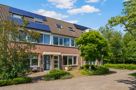 Leverkruid 30 secondary image