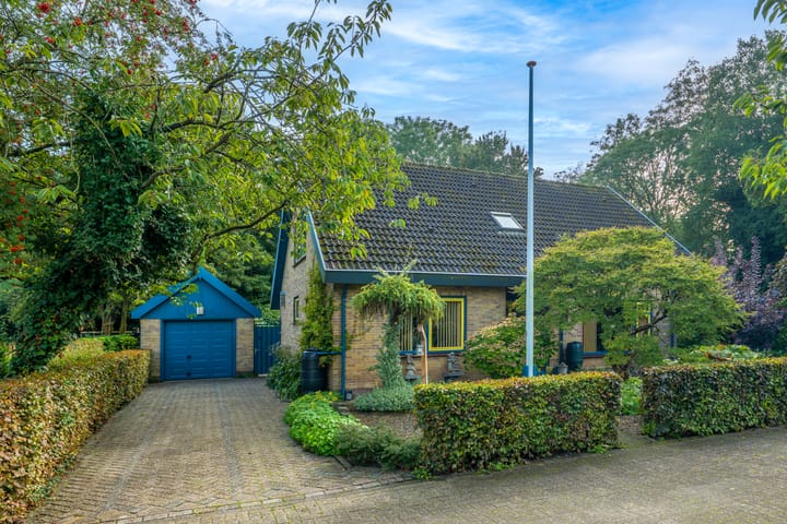 Schouwwagen 45 main image