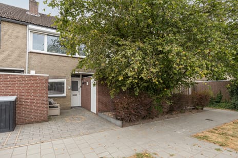undefined main image