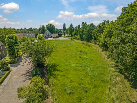 de Plak 80 secondary image