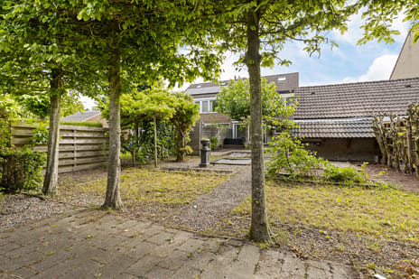 Grote Belt 43 secondary image