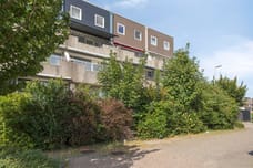 Afbeelding van Wingerdpark 100 - Tweede foto