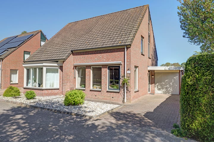 De Bouw 37 main image