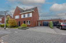 Afbeelding van Zilveresdoorn 7 - Tweede foto