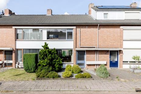 undefined main image