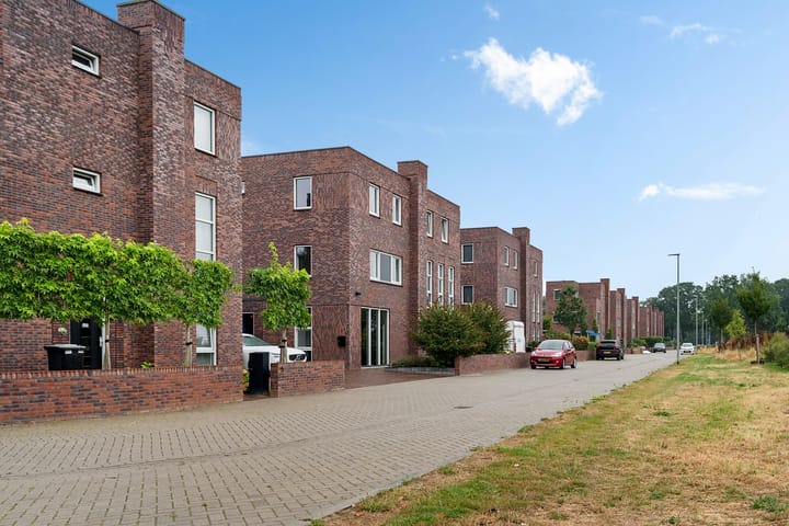 Klimopwal 4 main image