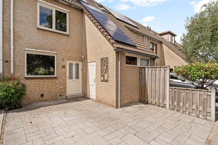 Celesta 35 main image