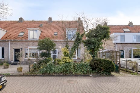 undefined main image