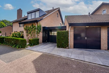Dieze 26 main image