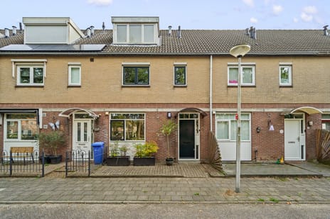 Abraham Blankaartsingel 113 main image