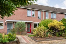Afbeelding van Torenvalk 16 - Tweede foto