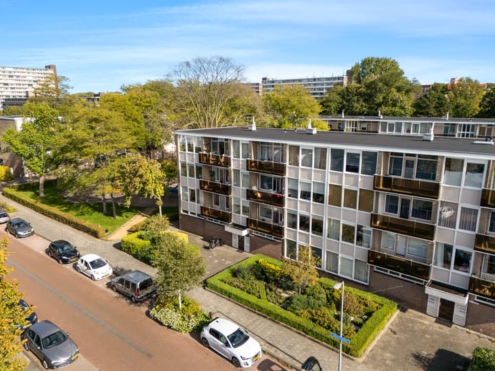 Cornelis Pronklaan 9 main image