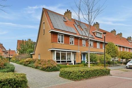 Specht 18 main image