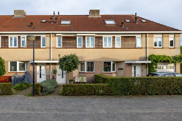 Rijndal 4 main image