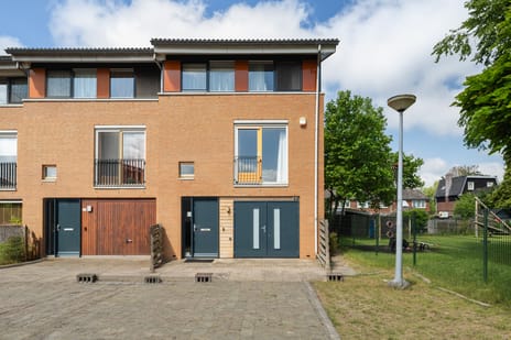 Goudpluvier 39 main image
