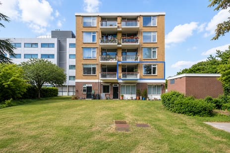 undefined main image