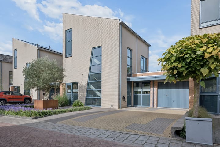 Berkenzwam 5 main image