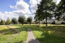 Afbeelding van De Terpen 3 - Tweede foto