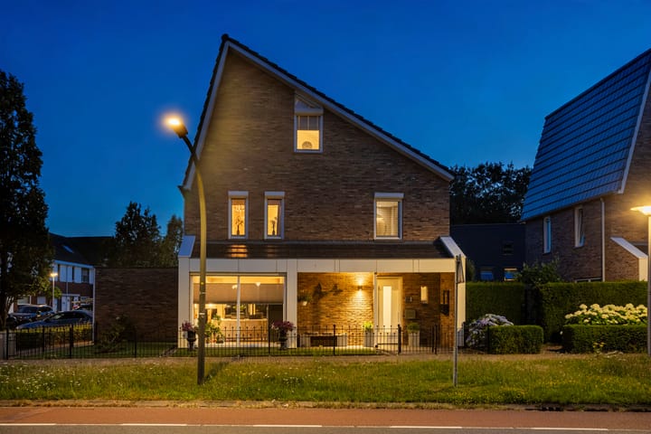 Heidevlinder 12 main image