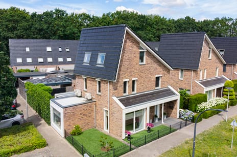 Heidevlinder 12 secondary image