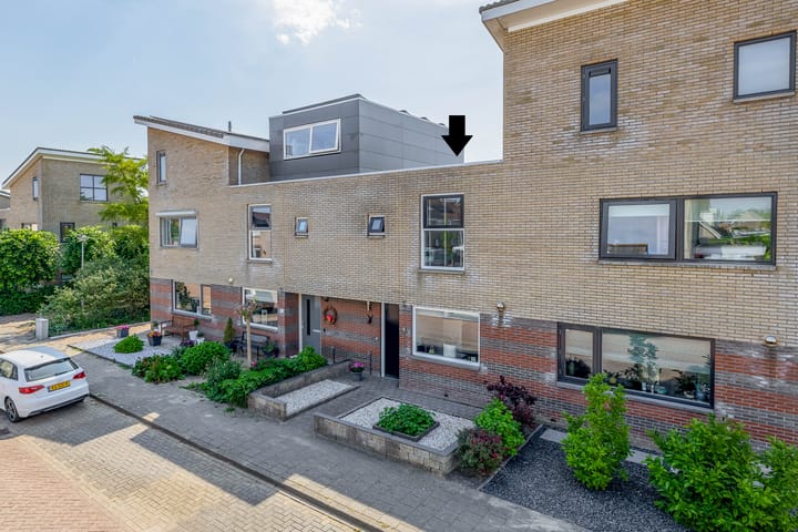 Springert 18 main image