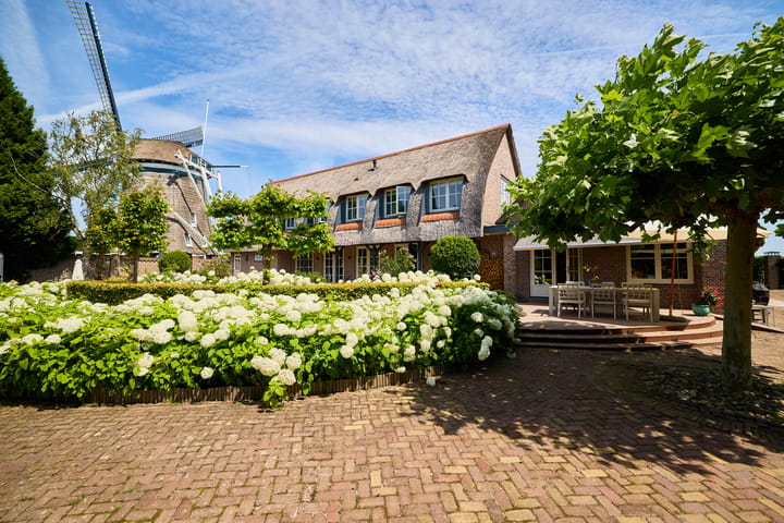 Loodijk 28 main image