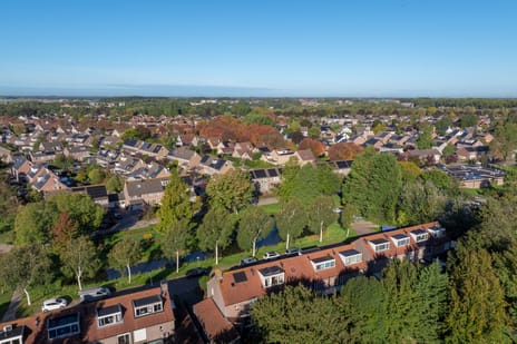 Afbeelding van Goudplevier 31 - Derde foto