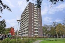 Afbeelding van Roggekamp 297 - Tweede foto