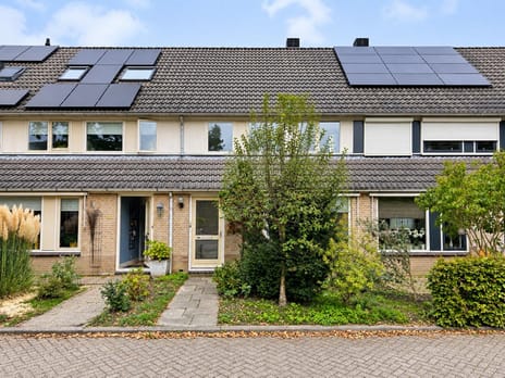 Dubloen 84